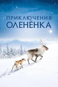  Приключения оленёнка 