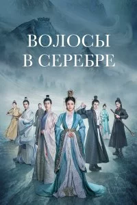  Волосы в серебре 