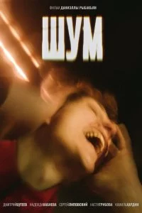  Шум 