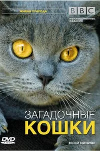  BBC: Загадочные кошки 